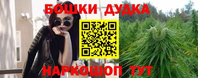 spice Кимры