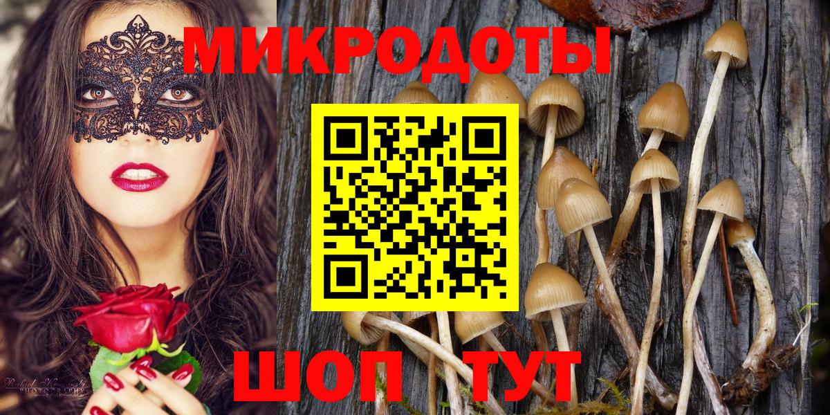 Псилоцибиновые грибы Magic Shrooms Коммунар